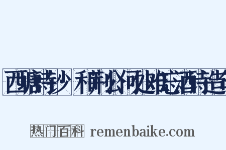 西塘诗钞·和荆公何处难忘酒诗造句是什么意思的图片